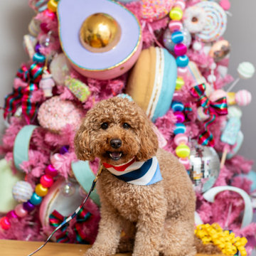 Holiday Decor - Colorland At The Jodie