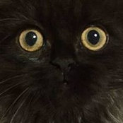 Michael Mc Nulty's photo