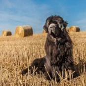 Fabien Novat's photo