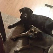 Kasandra Dotson's photo