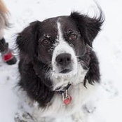 David Godfrey's photo