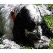 carla roncoroni's photo
