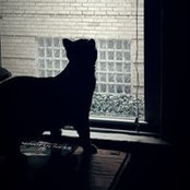 Paige Webber's photo