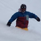 Damian McCann's photo