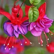 Susan Pieper's photo