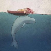 Joanne McCarthy's photo