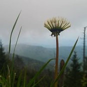 Chris Wang's photo