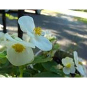 Debbie Ballantine's photo