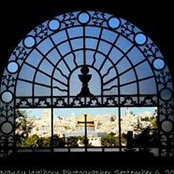 Nancy Welborn's photo