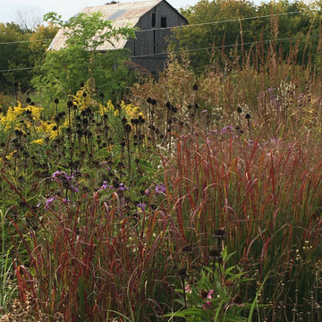 Schoolhouse Meadow