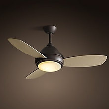 Lighting - ceiling fan