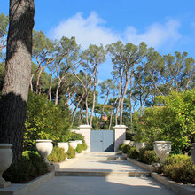 Sparboe Landscape