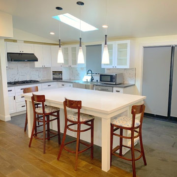 Kitchen Remodel/Renovation