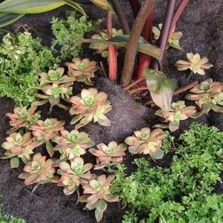 Living Wall System Residential - Products