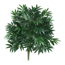 Plants