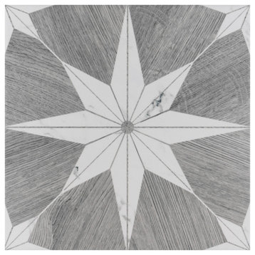 Merola Tile Amazon Stella Loire 9-3/4" x 9-3/4" Porcelain Floor and Wall Tile