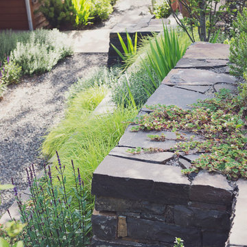 Basalt Retaining Walls with Rubus pentablous