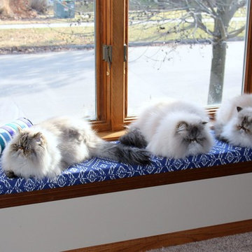 Window Seat Cushion for the Kitties