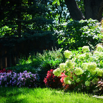 Shady Backyard Sanctuary