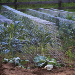 Lawn and Garden Cages - Products