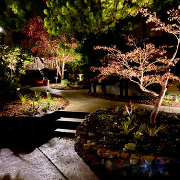 Berkley Hills lighting project