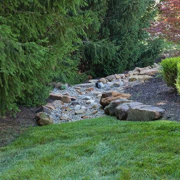 Dry Streams