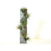 Octahedron Totem With Air Plants "Heart Chakra" Concrete Planter, Sacred Geo