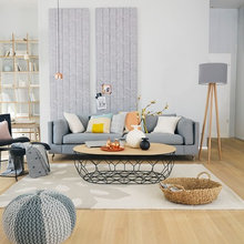 Germany - 50 Scandinavian livingrooms pictures