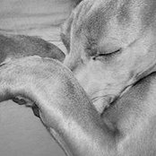 Dana Dolata's photo