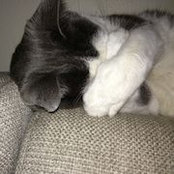 Corianne Nelson's photo