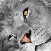 Patrizia Armfield's photo