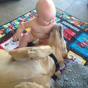 Dale Westhoff's photo