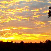 Wanda le Roux's photo