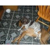 Robert Morin's photo