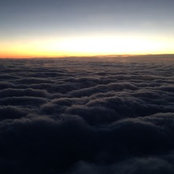 Alexander's photo