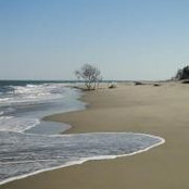 Gail Jenkins's photo