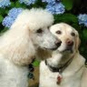 Kathy Kalb's photo