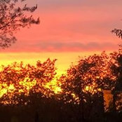 Stacey Nowicki's photo
