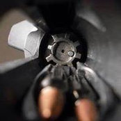 David Knesek's photo