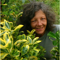 Sue Craske In the Garden