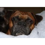Timothy Chick's photo