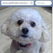 Paula Dickman's photo