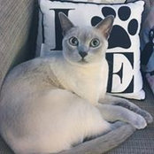 Robyn Gaeta's photo