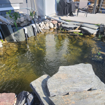 Custom✨ Koi Pond
