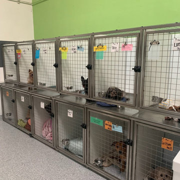 Stackable Kennel Options