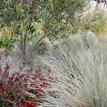 Landscaping - Zinn Residence