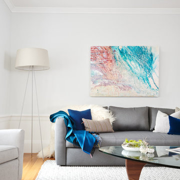 Living Room sleeper sofa