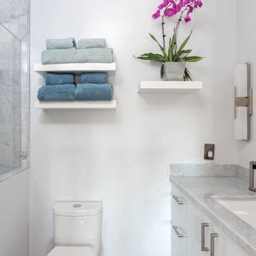 San Vicente: Full Kitchen and Bathroom Renovation