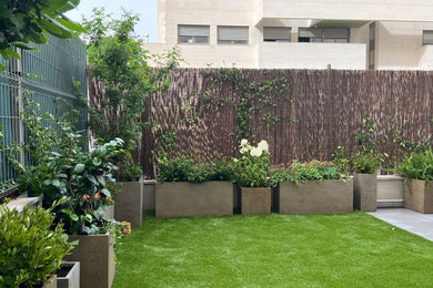 Diseño de jardín contemporáneo en patio