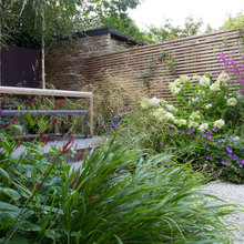 Back garden